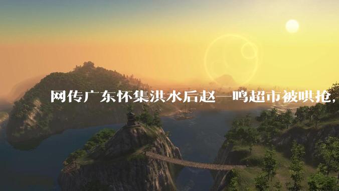 网传广东怀集洪水后赵一鸣超市被哄抢，县***回应相关单位正在核实，若属实哄抢者该承担哪些法律责任？